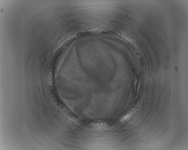 X0000073890689200609082123