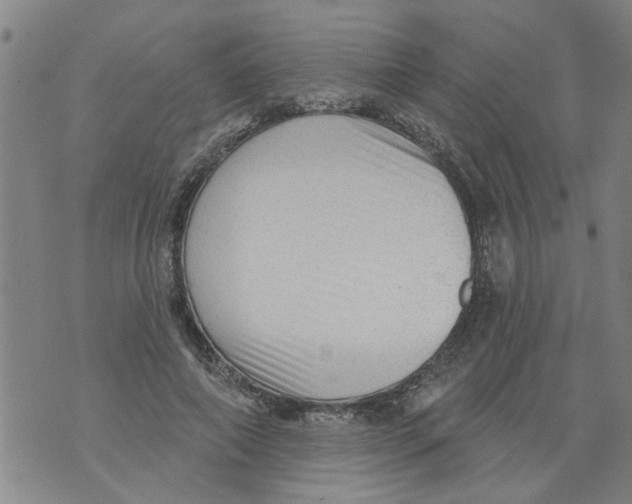 X0000073890690200609082123