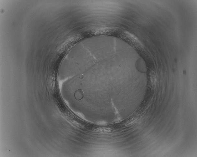 X0000073890691200609082123