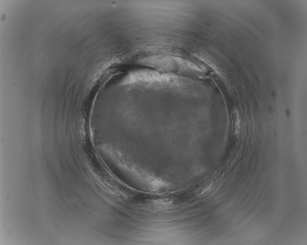 X0000073890692200609082123