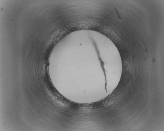 X0000073890694200609082123