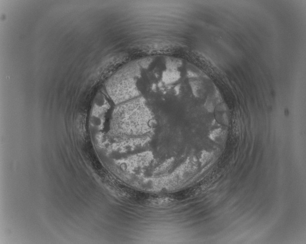 X0000073890695200609082123