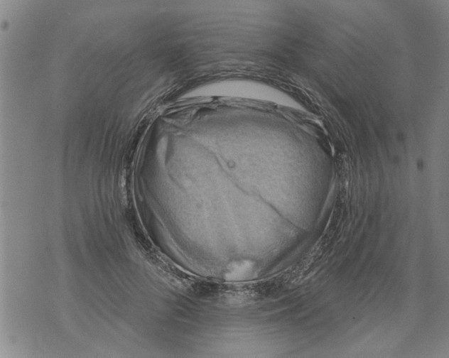 X0000073890696200609082123