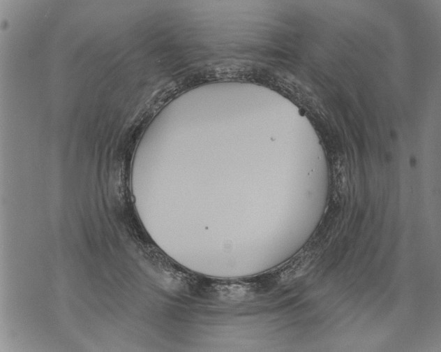 X0000073890698200609082123