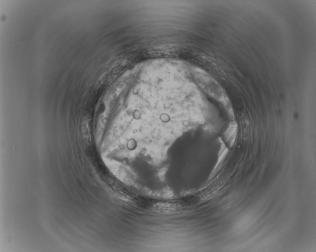 X0000073890699200609082123