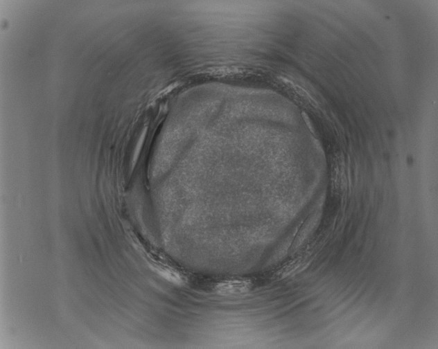 X0000073890700200609082123