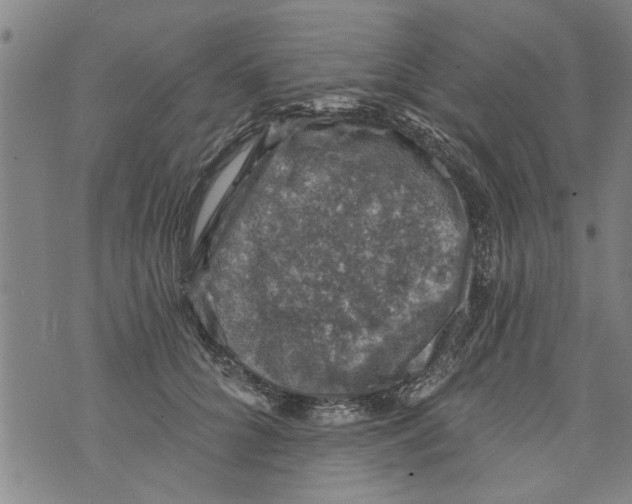 X0000073890704200609082123