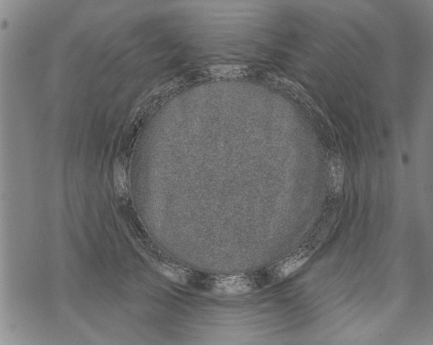 X0000073890705200609082123