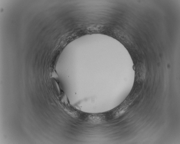 X0000073890706200609082123