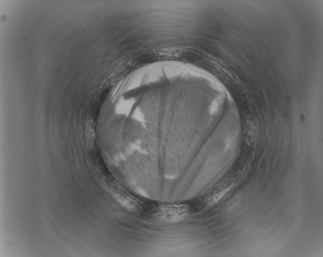 X0000073890707200609082123