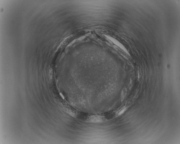 X0000073890708200609082123