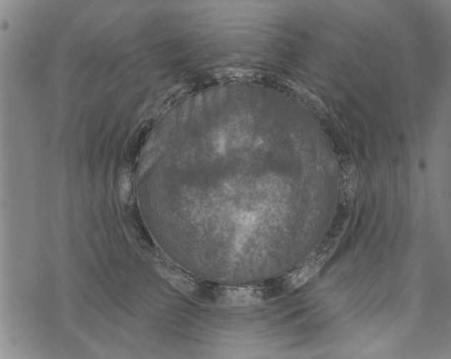 X0000073890709200609082123