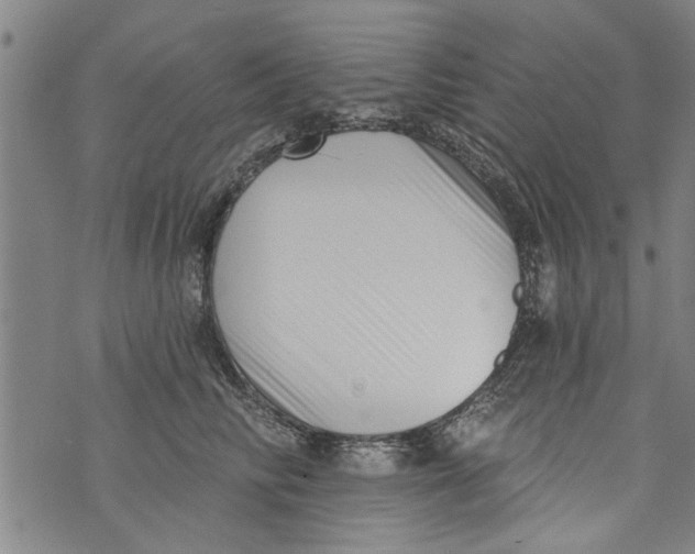 X0000073890710200609082123