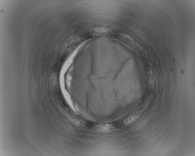 X0000073890711200609082123