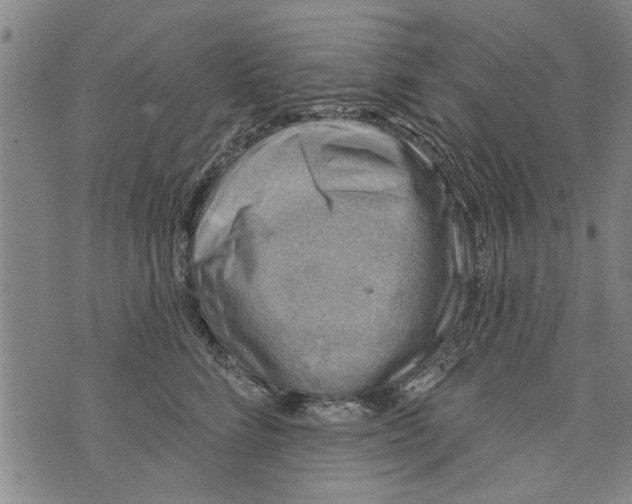 X0000073890712200609082123