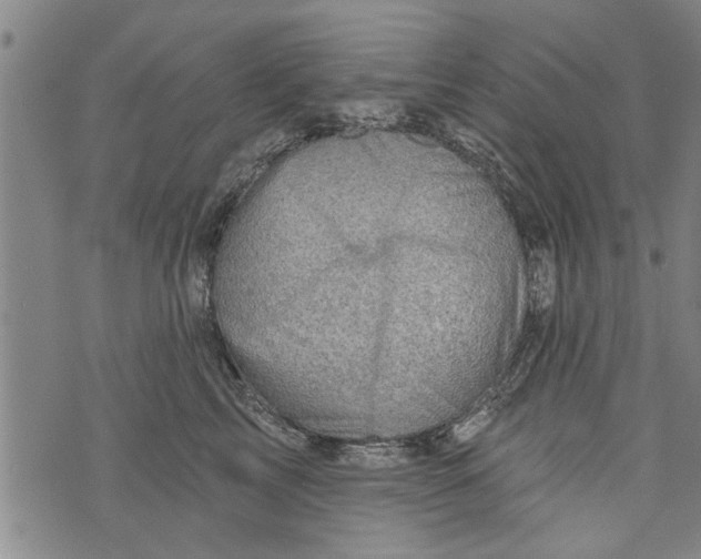 X0000073890713200609082123