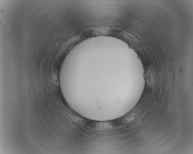 X0000073890714200609082123