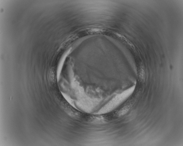 X0000073890715200609082123