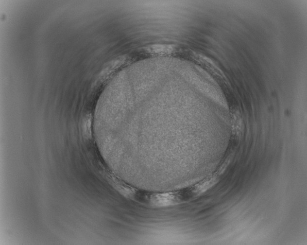 X0000073890717200609082123