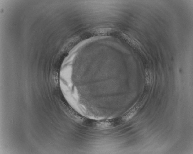 X0000073890718200609082123