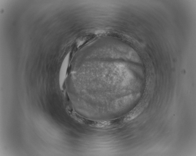 X0000073890720200609082123