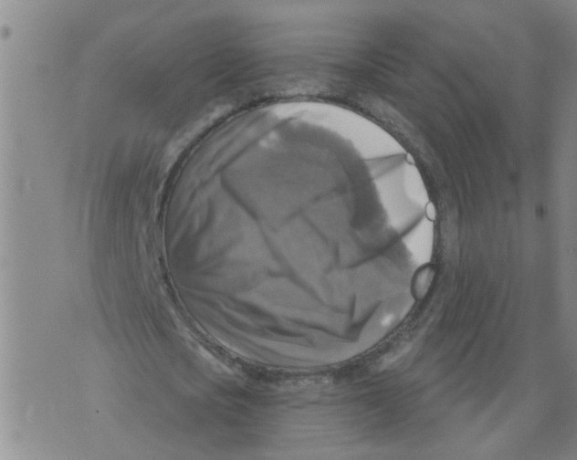 X0000073890721200609082122