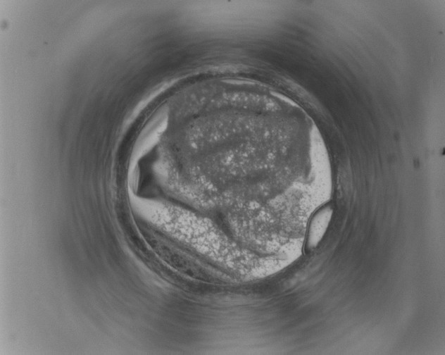 X0000073890722200609082122