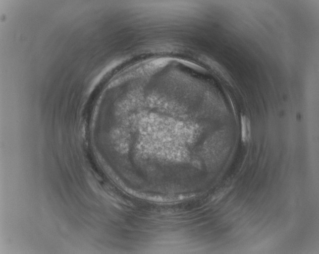 X0000073890723200609082122