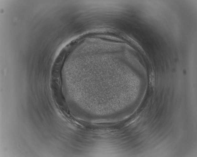 X0000073890724200609082122