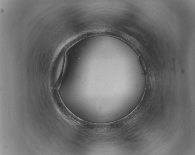 X0000073890728200609082122