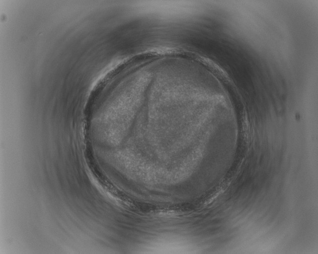 X0000073890730200609082122