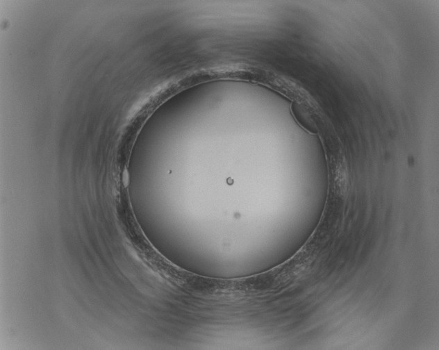 X0000073890732200609082122