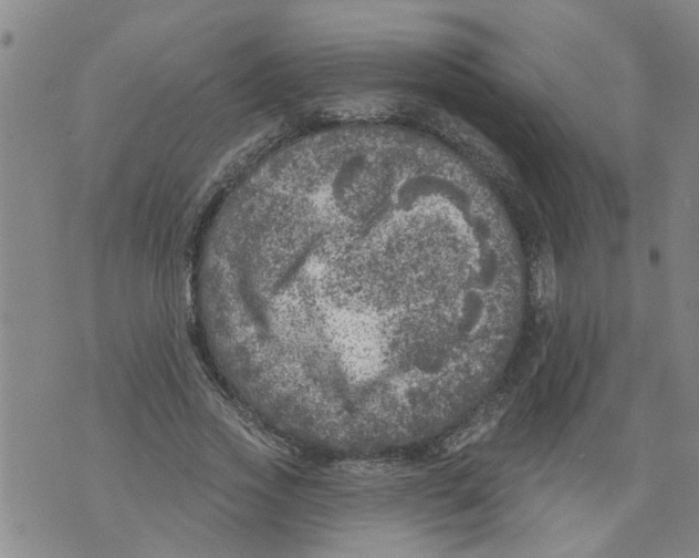 X0000073890733200609082122