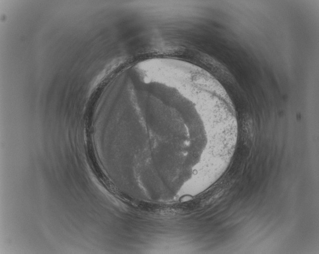 X0000073890734200609082122