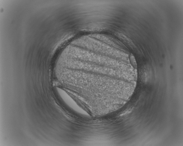 X0000073890735200609082122