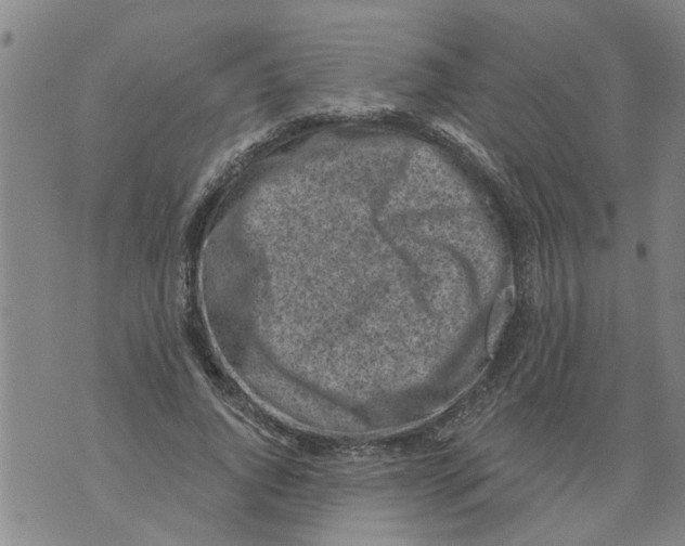 X0000073890736200609082122