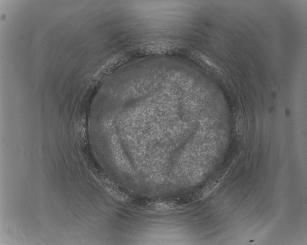 X0000073890737200609082122