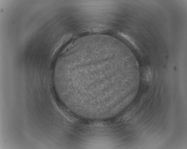 X0000073890738200609082122