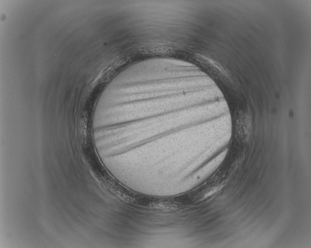 X0000073890739200609082122