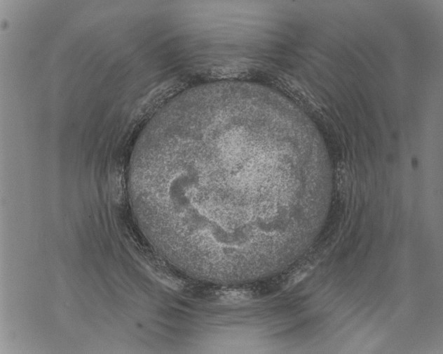 X0000073890741200609082122