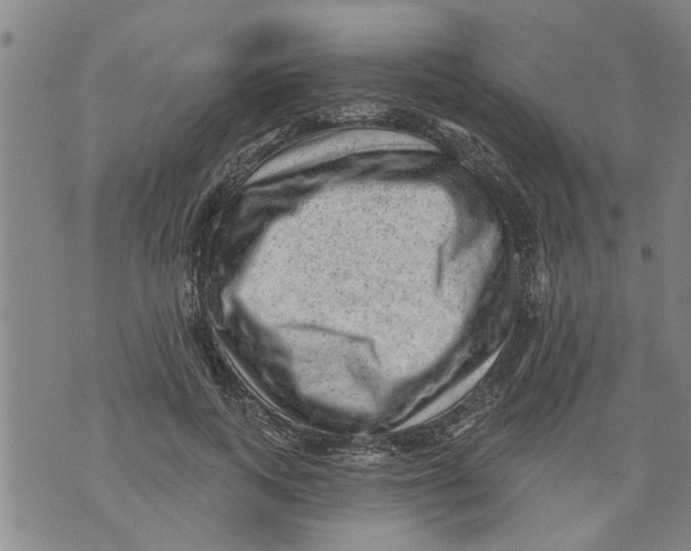 X0000073890743200609082122