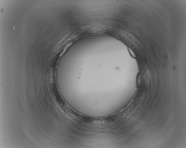 X0000073890744200609082122