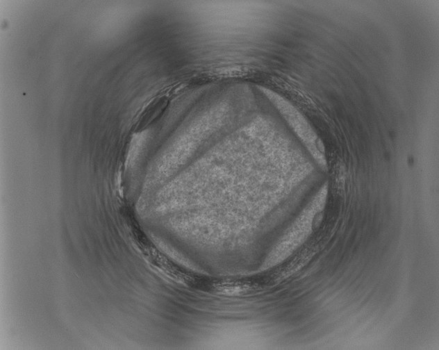 X0000073890746200609082122