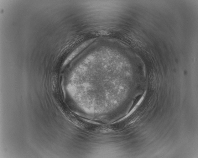 X0000073890747200609082122