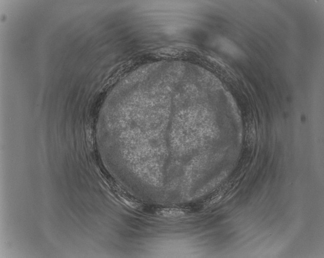 X0000073890749200609082122