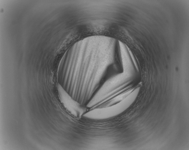 X0000073890750200609082122