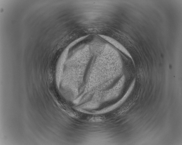 X0000073890751200609082122