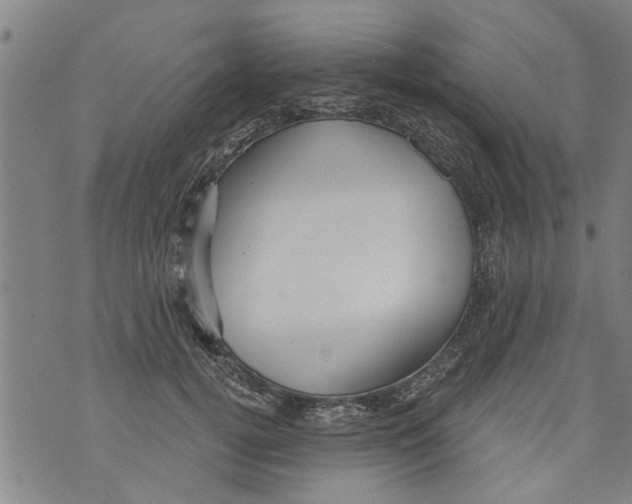 X0000073890752200609082122