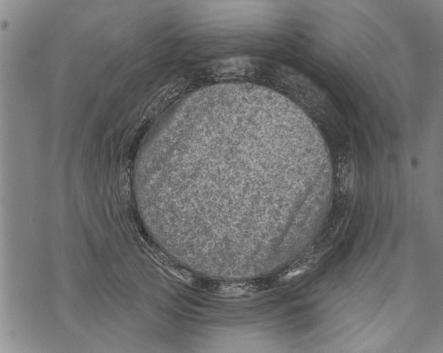 X0000073890753200609082122