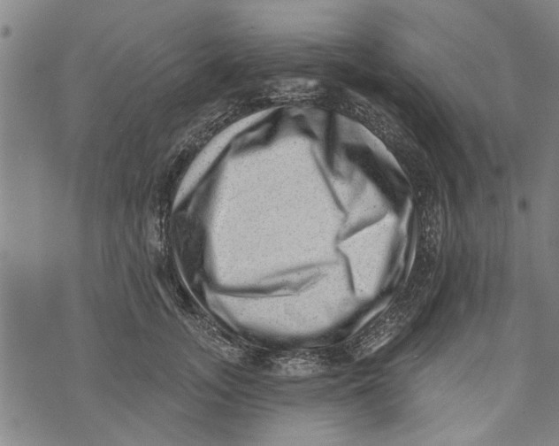 X0000073890755200609082122